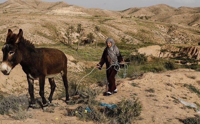 Những ngôi nhà dưới lòng đất còn sót lại tại Tunisia sau hàng thế kỷ - Ảnh 11.