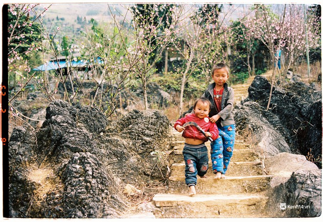 Th&aacute;ng 3, đi Mộc Ch&acirc;u, H&agrave; Giang để ngắm m&ugrave;a hoa nở trắng trời, rợp đất - Ảnh 21.
