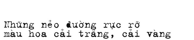 Th&aacute;ng 3, đi Mộc Ch&acirc;u, H&agrave; Giang để ngắm m&ugrave;a hoa nở trắng trời, rợp đất - Ảnh 1.