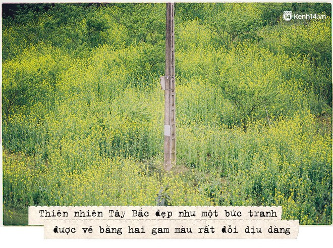 Th&aacute;ng 3, đi Mộc Ch&acirc;u, H&agrave; Giang để ngắm m&ugrave;a hoa nở trắng trời, rợp đất - Ảnh 5.