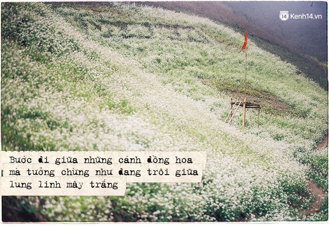 Th&aacute;ng 3, đi Mộc Ch&acirc;u, H&agrave; Giang để ngắm m&ugrave;a hoa nở trắng trời, rợp đất - Ảnh 11.