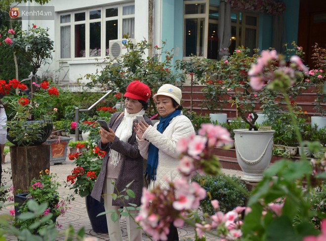 Lễ hội hoa hồng Bulgaria khoe sắc với gần 2.000 giống hoa đúng dịp Quốc tế phụ nữ 8/3 - Ảnh 10.