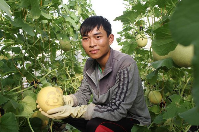Độc đáo 100 cặp dưa lưới in chữ, số mừng ngày 8/3 - Ảnh 5.