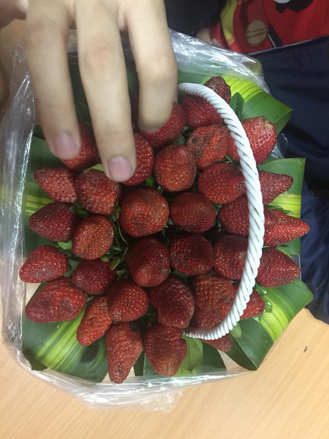 Đặt mua hoa d&acirc;u t&acirc;y tr&ecirc;n mạng, c&ocirc; g&aacute;i mếu m&aacute;o khi nhận h&agrave;ng: B&oacute; n&agrave;y m&agrave; tặng mẹ người y&ecirc;u kh&eacute;o chia tay! - Ảnh 6.