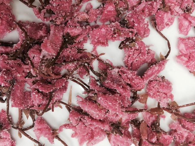 Hoa anh đào muối: tinh hoa ẩm thực Nhật Bản, đến đây thì nhất định phải ăn thử - Ảnh 3.