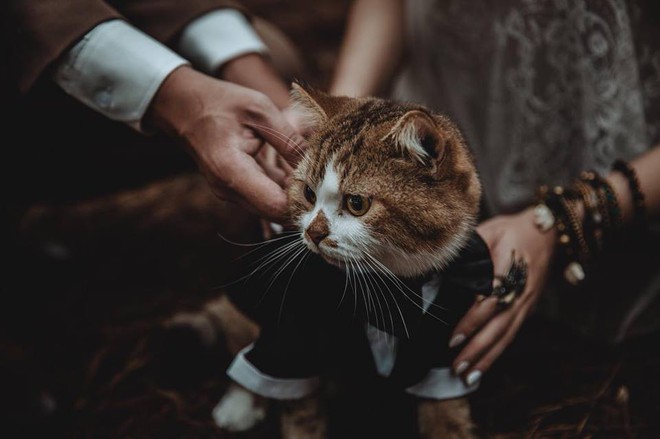 Boss bất ngờ chiếm spotlight trong bộ ảnh cưới của sen: Bọn cute n&agrave;y nguy hiểm qu&aacute; đi mất! - Ảnh 3.