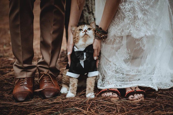 Boss bất ngờ chiếm spotlight trong bộ ảnh cưới của sen: Bọn cute n&agrave;y nguy hiểm qu&aacute; đi mất! - Ảnh 4.