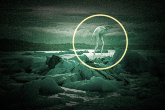 Huyền thoại quái vật Ningen dài 30 mét ở Nam Cực: Quá sức vô tích sự, tới mức khoa học còn chẳng thèm tìm kiếm hay nghiên cứu làm gì - Ảnh 2.