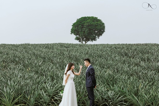 D&acirc;n t&igrave;nh ph&aacute;t sốt với bộ ảnh cưới trong trẻo &ldquo;Vẽ giấc mơ t&igrave;nh y&ecirc;u&rdquo; tr&ecirc;n c&aacute;nh đồng dứa Ninh B&igrave;nh - Ảnh 1.