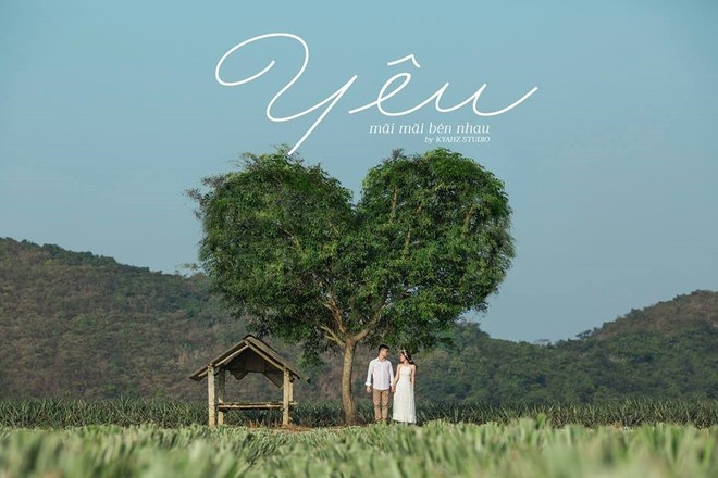 D&acirc;n t&igrave;nh ph&aacute;t sốt với bộ ảnh cưới trong trẻo &ldquo;Vẽ giấc mơ t&igrave;nh y&ecirc;u&rdquo; tr&ecirc;n c&aacute;nh đồng dứa Ninh B&igrave;nh - Ảnh 2.