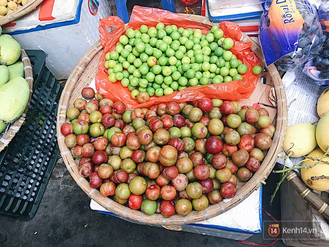 Mận Hà Nội đầu mùa giòn rôm rốp, dù chua vẫn khiến bao người Sài Gòn phải thòm thèm nhớ nhung - Ảnh 2.