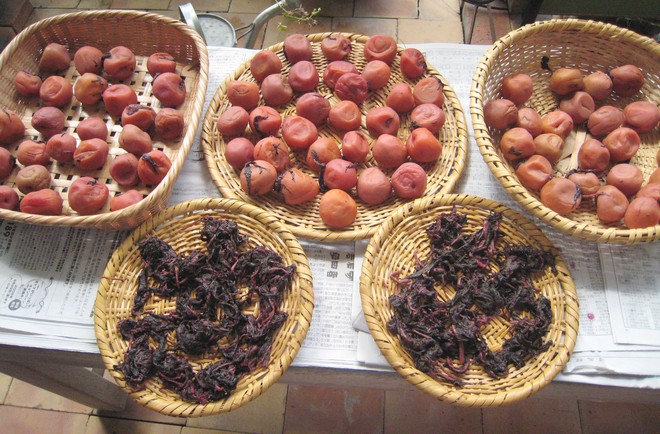 Mơ muối Umeboshi - một nét chấm phá độc đáo trong suốt chiều dài lịch sử ẩm thực Nhật Bản - Ảnh 6.