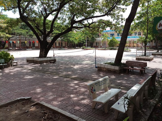 Kỷ luật khiển tr&aacute;ch gi&aacute;o vi&ecirc;n chủ nhiệm em Phạm Song To&agrave;n - Ảnh 1.