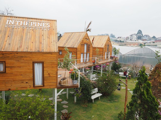 3 homestay Đ&agrave; Lạt khiến c&aacute;c cặp đ&ocirc;i y&ecirc;u ngay từ c&aacute;i nh&igrave;n đầu ti&ecirc;n - Ảnh 9.
