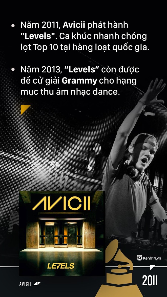 Qua đời ở tuổi 28 nhưng Avicii đã sống một cuộc đời mà ai cũng sẽ nhớ - Ảnh 8.