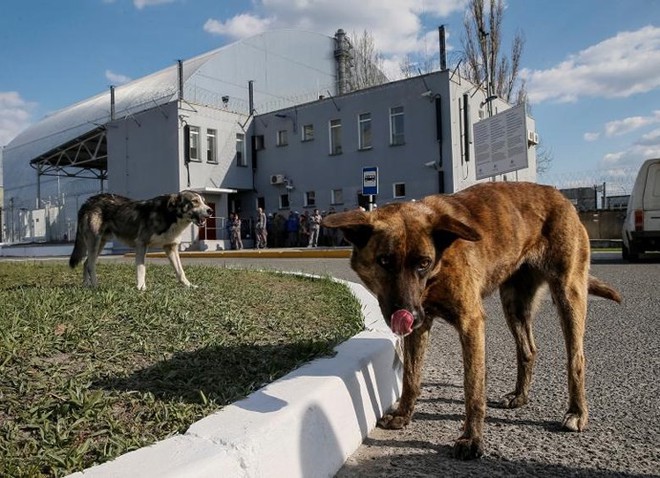 Ám ảnh bên trong nhà máy điện hạt nhân Chernobyl sau hơn 30 năm - Ảnh 14.