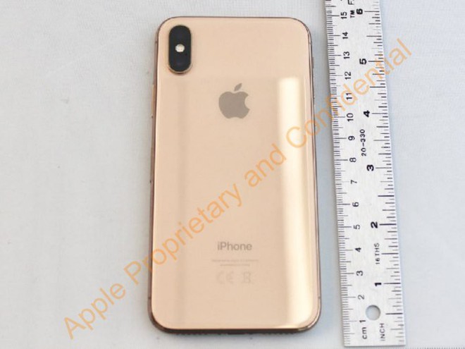 Quên iPhone X đi, đây là những dự đoán về iPhone giá rẻ gấp đôi, có thể hỗ trợ 2 SIM của Apple trong năm nay - Ảnh 9.