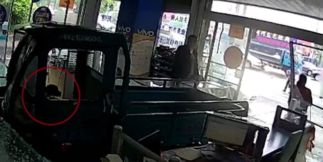 Nhân viên hốt hoảng khi một chú chó lái xe đâm thẳng vào cửa hàng điện thoại tại Trung Quốc - Ảnh 2.
