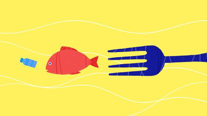 B&aacute;o động thật rồi: &Ocirc; nhiễm r&aacute;c nhựa ng&agrave;y c&agrave;ng g&acirc;y nguy hiểm cho cuộc sống ch&uacute;ng ta - Ảnh 2.