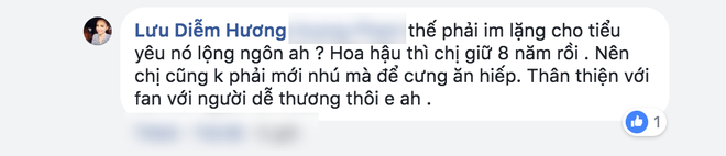 Bị dân mạng công kích, Diễm Hương gay gắt đáp lại: Chị không phải Hoa hậu mới nhú để mà bắt nạt - Ảnh 3.