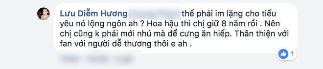 Bị d&acirc;n mạng c&ocirc;ng k&iacute;ch, Diễm Hương gay gắt đ&aacute;p lại: Chị kh&ocirc;ng phải Hoa hậu mới nh&uacute; để m&agrave; bắt nạt - Ảnh 3.