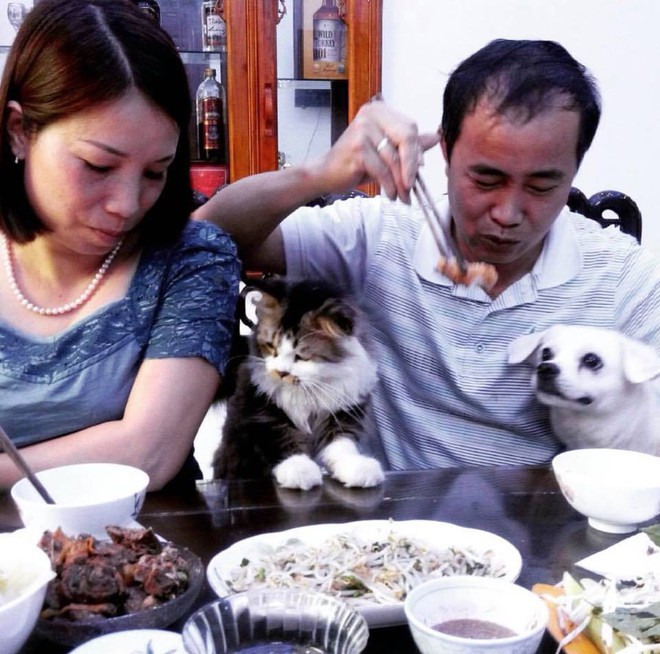 Con g&aacute;i bị bố mẹ cho ra r&igrave;a bức x&uacute;c tố: Bọn boss đang đ&aacute;nh chiếm tr&aacute;i đất v&agrave; thầy u của m&igrave;nh c&aacute;c bạn ơi! - Ảnh 1.