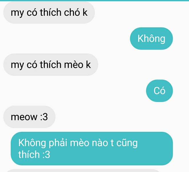 Thả thử thính đang hot Anh có thích mèo không?, hàng loạt thanh niên thất bại vì crush quá đa nghi - Ảnh 4.