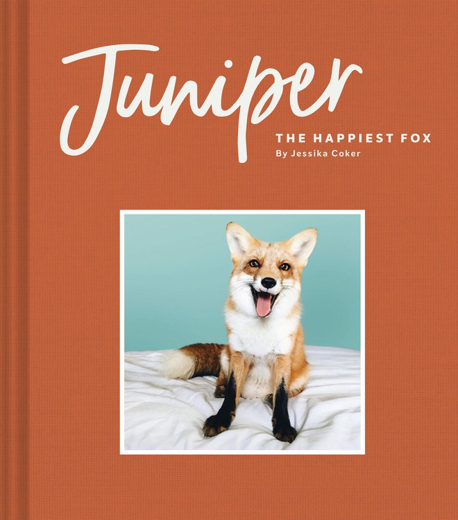 Gặp gỡ Juniper - Con cáo hớn hở nhất thế giới! - Ảnh 6.
