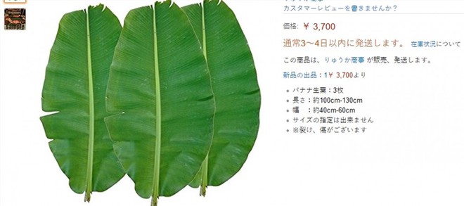 Sự thật bất ngờ kh&uacute;c chuối d&agrave;nh cho lợn ăn tại Việt Nam lại c&oacute; gi&aacute; 300.000 đồng ở Nhật Bản - Ảnh 3.