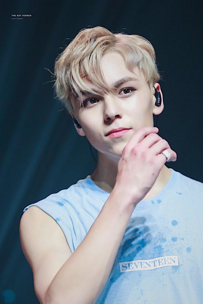 Vernon (SEVENTEEN) khoe ảnh ấu thơ đẹp như minh tinh quốc tế - Ảnh 2.