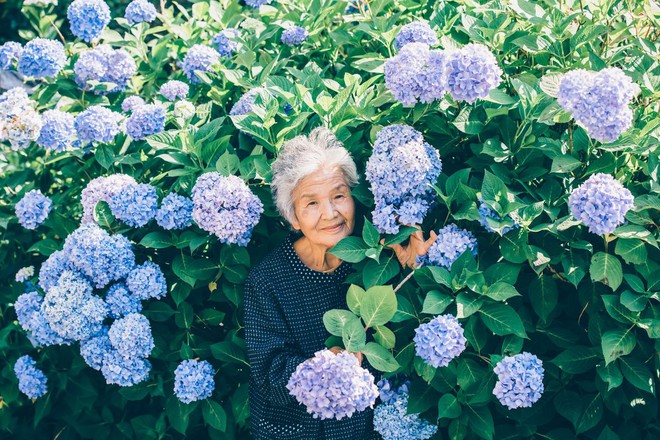 Giữ lời hứa chụp b&agrave; v&agrave; ch&uacute; ch&oacute; dưới tầng hoa anh đ&agrave;o, c&acirc;u chuyện của nhiếp ảnh gia Nhật Bản khiến bao người thổn thức - Ảnh 4.