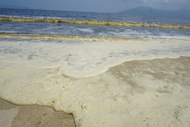Phát hiện tảo trong nước biển đổi màu bất thường khiến nhiều người xôn xao tại Đà Nẵng - Ảnh 1.