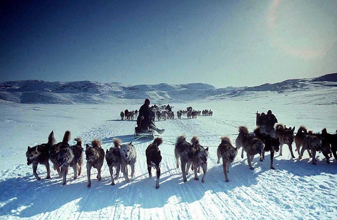 Câu chuyện về những người già bị để mặc đến chết ở Eskimo: Bị ném xuống biển, chôn sống hay bỏ rơi ngoài trời giá lạnh - Ảnh 3.