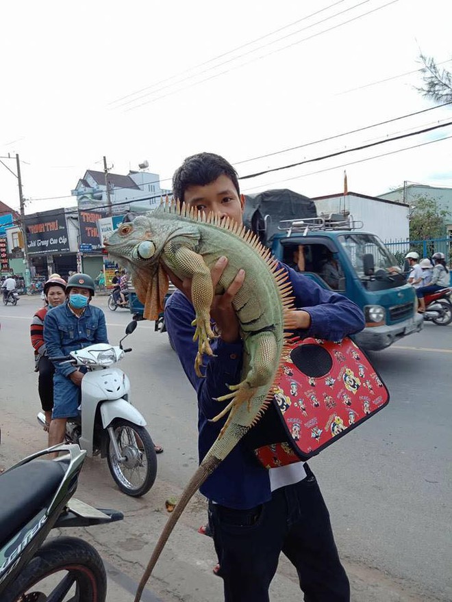 Gặp gỡ thanh niên học cấp 3 mà có nguyên sở thú trong nhà: 2 chân, 4 chân, biết bay biết trườn đủ cả - Ảnh 9.