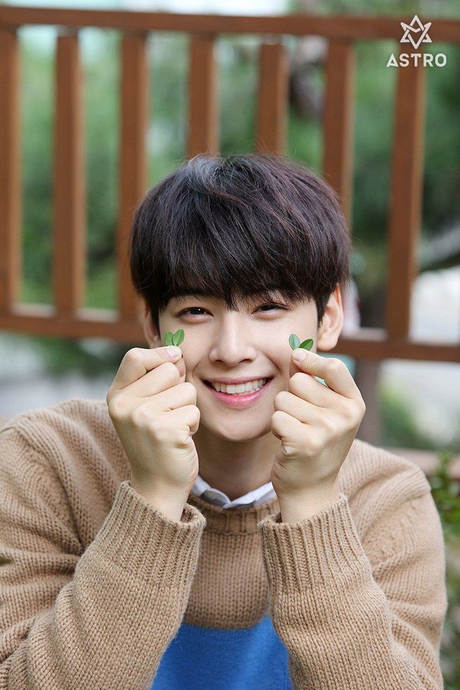 Mỹ nam truyện tranh Cha Eun Woo từng bị tê cứng mặt vì... cười quá nhiều - Ảnh 3.