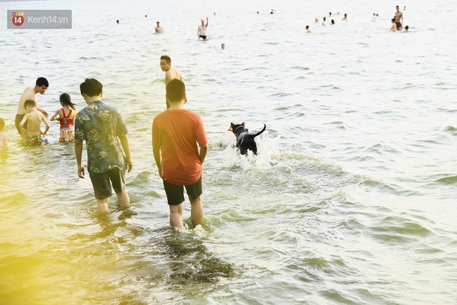 Nắng nóng oi bức, người dân Thủ đô bế chó cưng ra Hồ Tây cùng tắm để giải nhiệt dù có biển cấm - Ảnh 9.