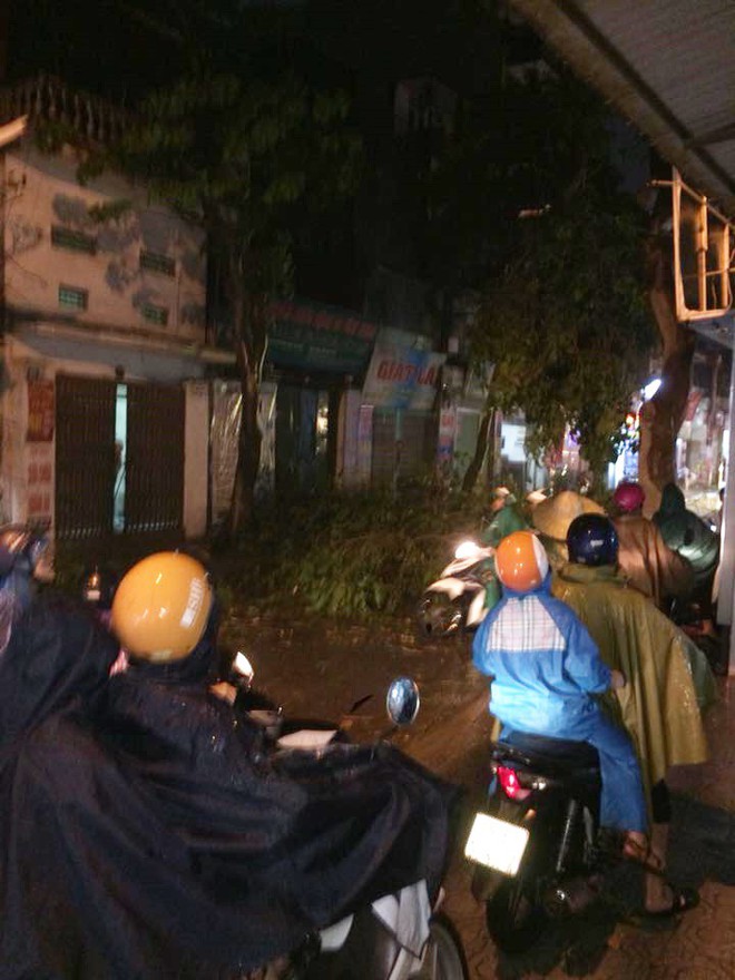 Clip: H&agrave; Nội đ&oacute;n cơn mưa d&ocirc;ng lớn k&egrave;m gi&oacute; to khiến c&acirc;y cối g&atilde;y đổ, đường bụi m&ugrave; khiến người d&acirc;n di chuyển v&ocirc; c&ugrave;ng kh&oacute; khăn - Ảnh 8.