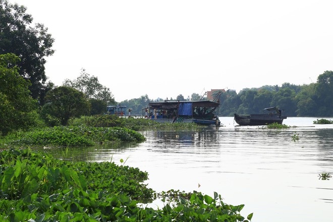 Hiện trường vụ sà lan nghìn tấn chìm trên sông khiến 3 người trong một gia đình mất tích - Ảnh 4.