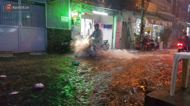 TP. HCM: Mưa lớn kèm sấm chớp, gió giật mạnh quật cây xanh ngã đổ, nhiều tuyến đường biến thành sông - Ảnh 1. TP. HCM: Mưa lớn kèm sấm chớp, gió giật mạnh quật cây xanh ngã đổ, nhiều tuyến đường biến thành sông - Ảnh 1.