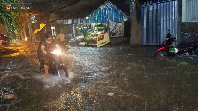 TP. HCM: Mưa lớn kèm sấm chớp, gió giật mạnh quật cây xanh ngã đổ, nhiều tuyến đường biến thành sông - Ảnh 3. TP. HCM: Mưa lớn kèm sấm chớp, gió giật mạnh quật cây xanh ngã đổ, nhiều tuyến đường biến thành sông - Ảnh 3.
