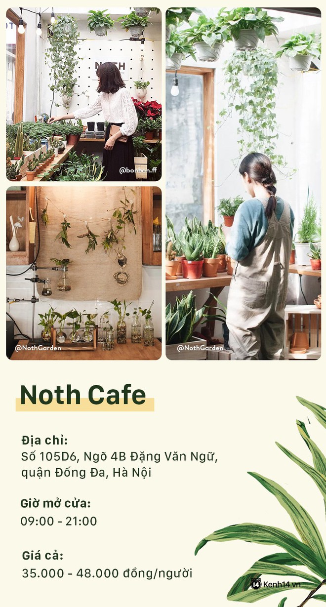 5  quán cafe dành  cho hội yêu cây tại Hà Nội - Ảnh 1.