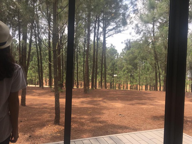 Ch&ugrave;m ảnh: Kh&ocirc;ng sợ đối thủ mạnh như hổ, chỉ sợ đồng đội chụp ảnh &iacute;t c&oacute; t&acirc;m - Ảnh 3.