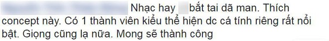 Hit đầu tay được khen nức nở, girlgroup mới của Cube được dự đoán kế vị thành công 4Minute - Ảnh 9.