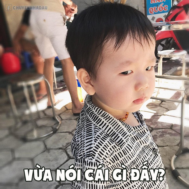 Loạt ảnh chế meme đưa Đậu nhà Nam Thương - Ba Duy lên ngôi em bé có gương mặt giải trí nhất MXH - Ảnh 3.
