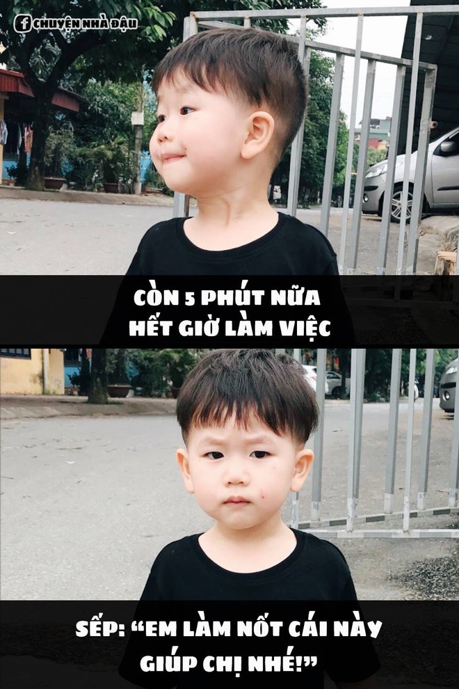 Loạt ảnh chế meme đưa Đậu nhà Nam Thương - Ba Duy lên ngôi em bé có gương mặt giải trí nhất MXH - Ảnh 25.