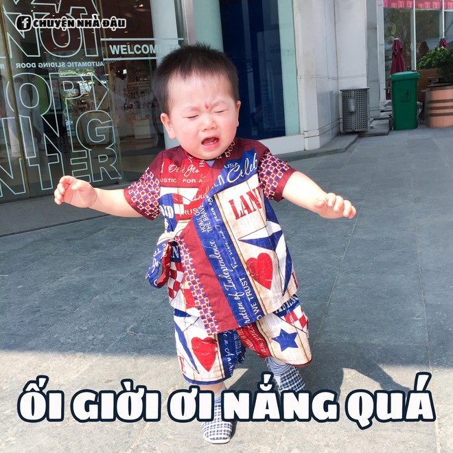 Loạt ảnh chế meme đưa Đậu nhà Nam Thương - Ba Duy lên ngôi em bé có gương mặt giải trí nhất MXH - Ảnh 7.
