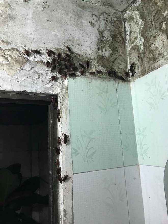 D&acirc;n mạng hoảng loạn h&eacute;t chạy ngay đi khi chứng kiến cả đội qu&acirc;n gi&aacute;n tấn c&ocirc;ng căn nh&agrave; sau cơn mưa - Ảnh 2.
