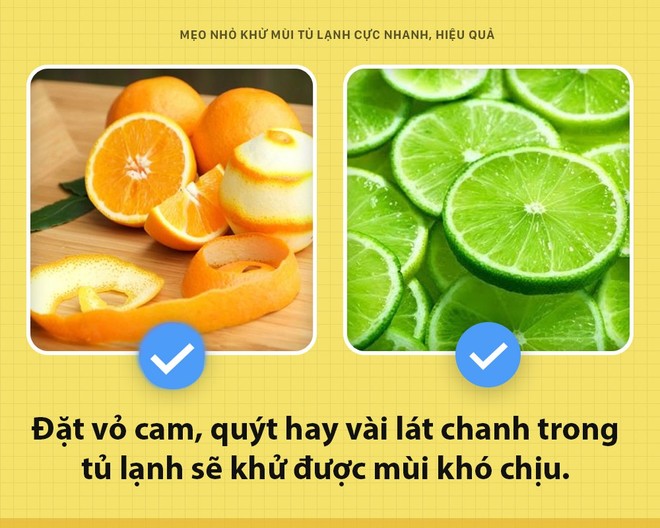 Đánh bay mùi hôi khó chịu trong tủ lạnh chỉ với vật dụng cực dễ kiếm này - Ảnh 1.