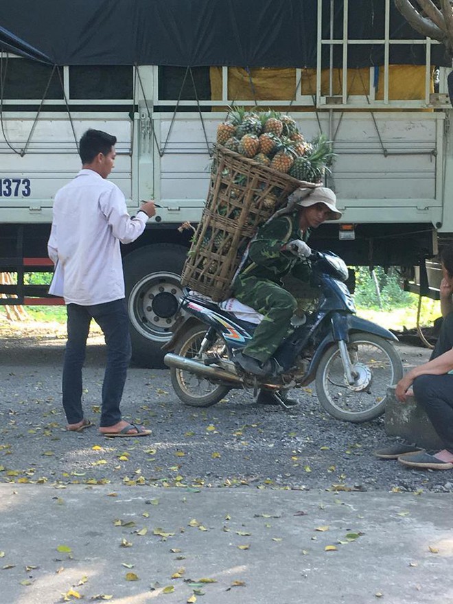 Người đàn ông gùi 130kg dứa trên vai đến bán khiến thương lái không tin vào mắt mình - Ảnh 2.