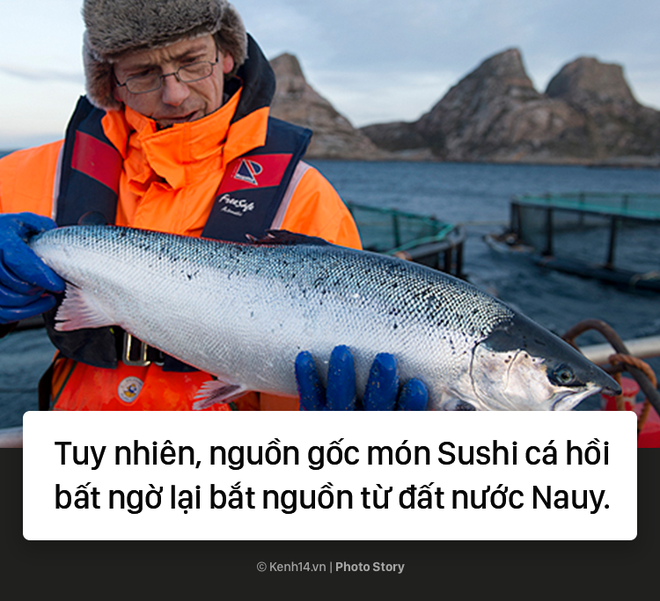 Bật mí nguồn gốc không phải ai cũng biết về sushi cá hồi - Ảnh 5.
